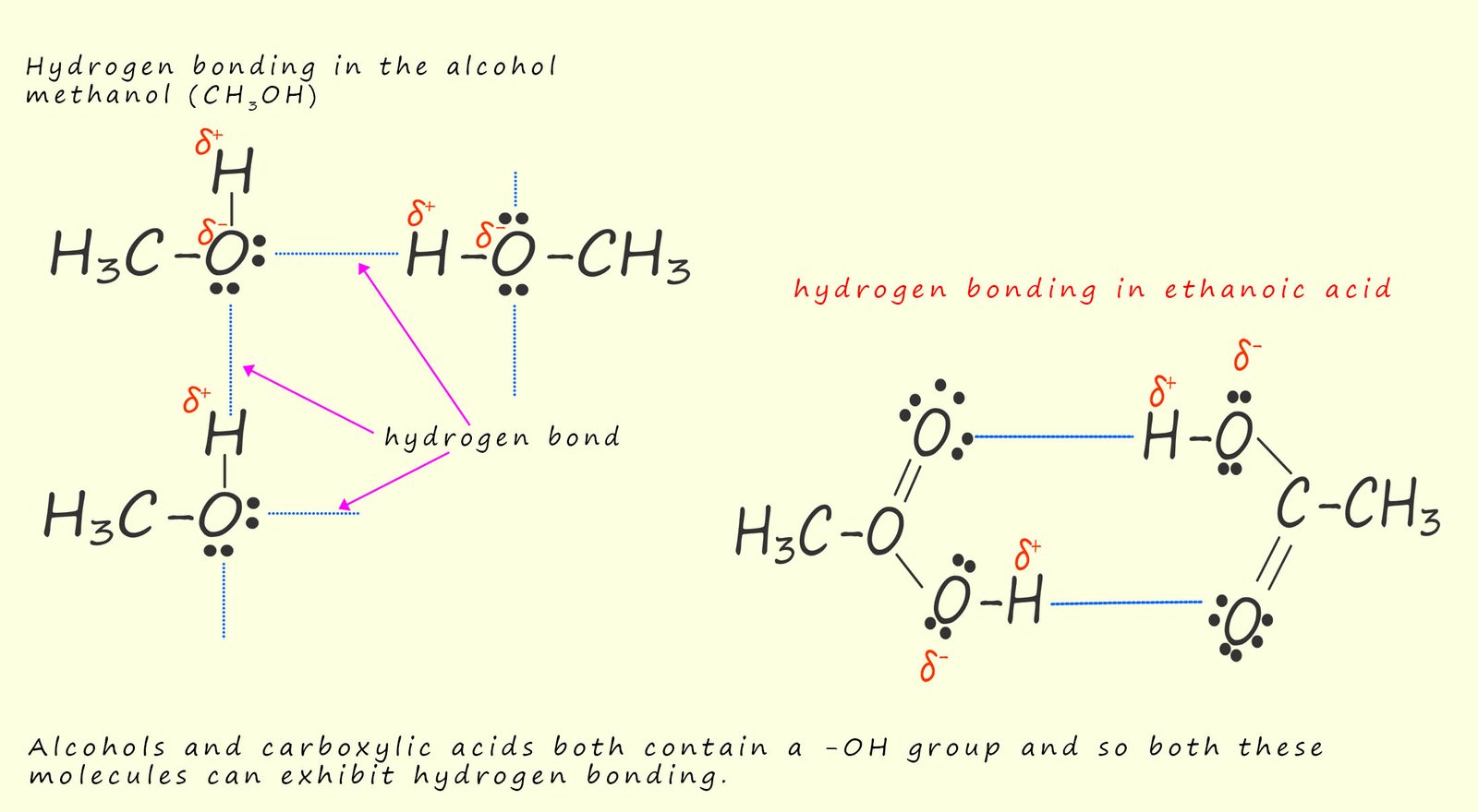 hydrogen bonding in carboxylic acids 
and alcohols
